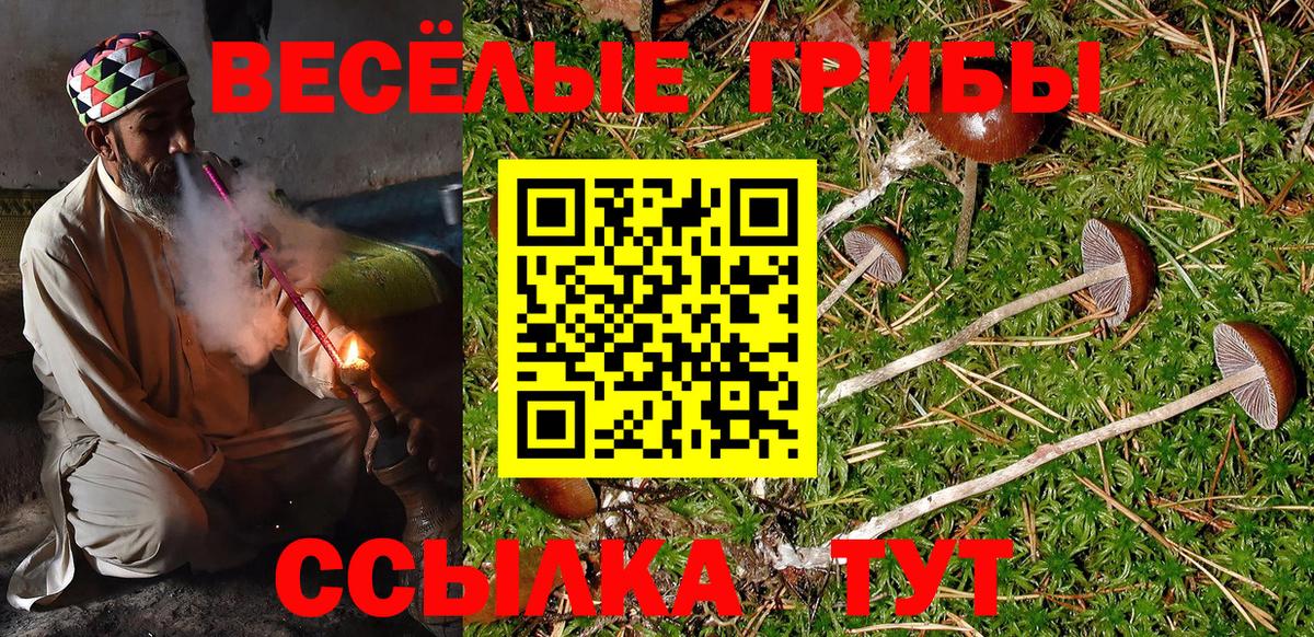 Галлюциногенные грибы мицелий  Вход с VPN  Псилоцибиновые грибы прущие грибы  Коммунар 